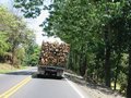 Img_3251.jpg